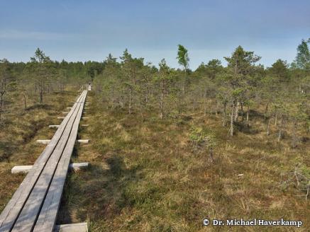 DGMT e.V. - Sektion 1