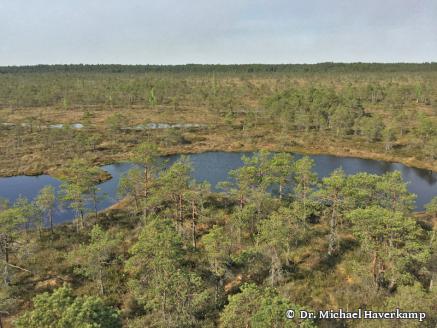 DGMT e.V. - Sektion 1