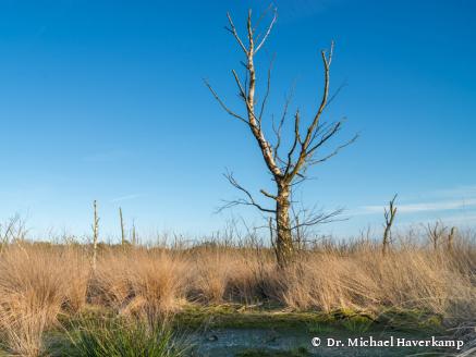 DGMT e.V. - Sektion 5