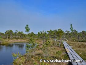 Sektion 1 - Geowissenschaften